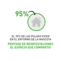 Frontline Combo Pipetas Antiparasitarias para perros gigantes, , large Imagen numero 7